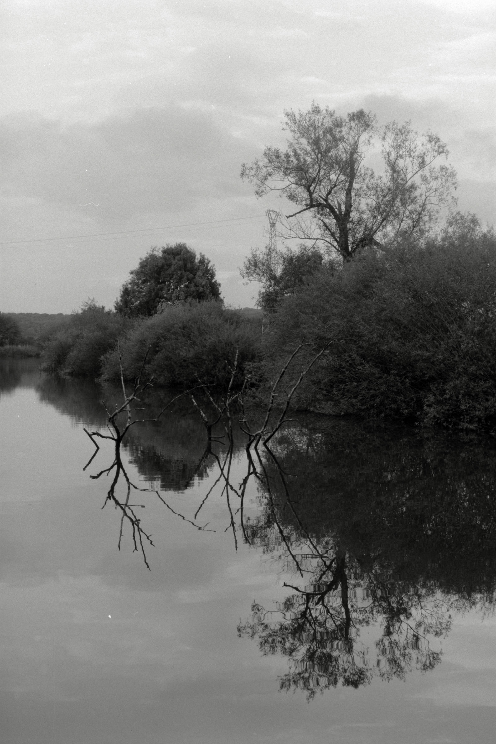 AHP F1990 09 005 sc250506 img17 NLP